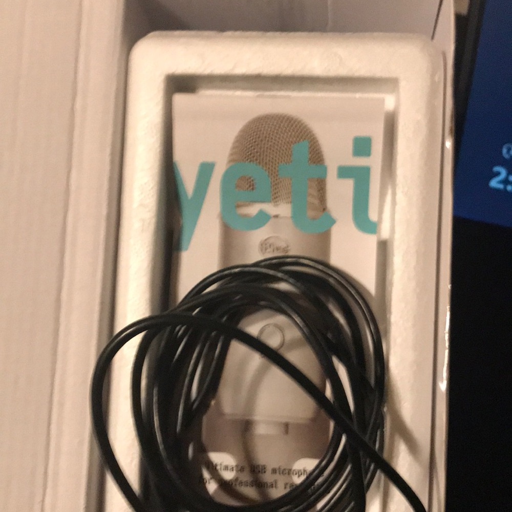 Blue yeti mic